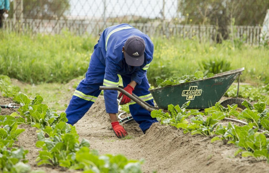 Devenir jardinier paysagiste : comment faire ? • Jardinage et bricolage